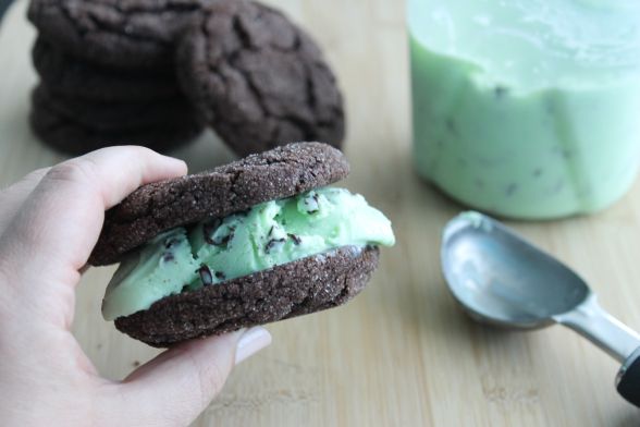 Fresh Mint Chocolate Swirl Ice Cream