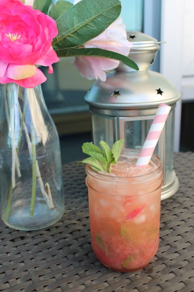 Rhubarb Mint Julep