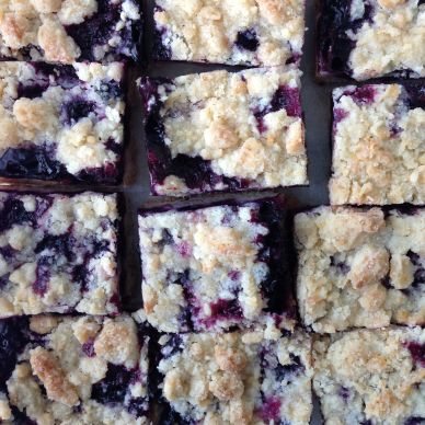 Blueberry Crumb Squares