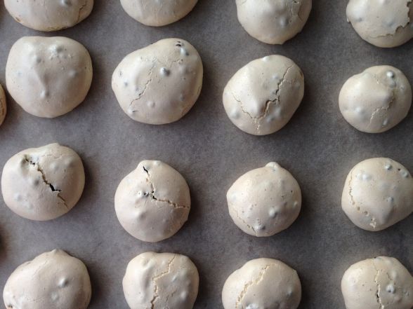 Peppermint Chocolate Chip Meringues