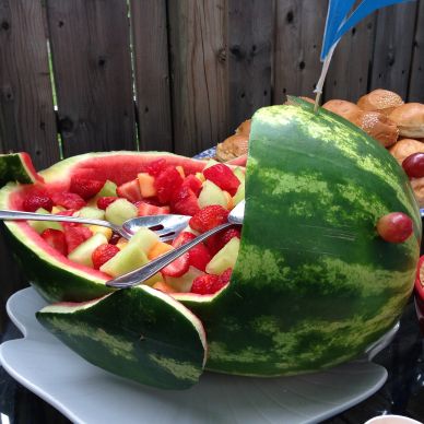 Watermelon Whale