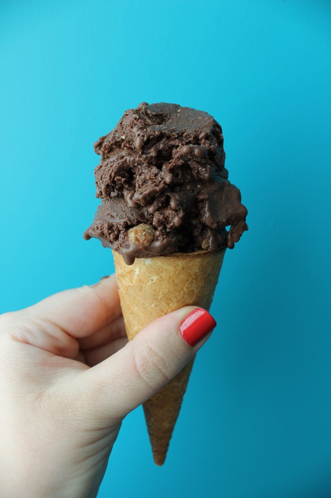 Chocolate Peanut Butter Ice Cream