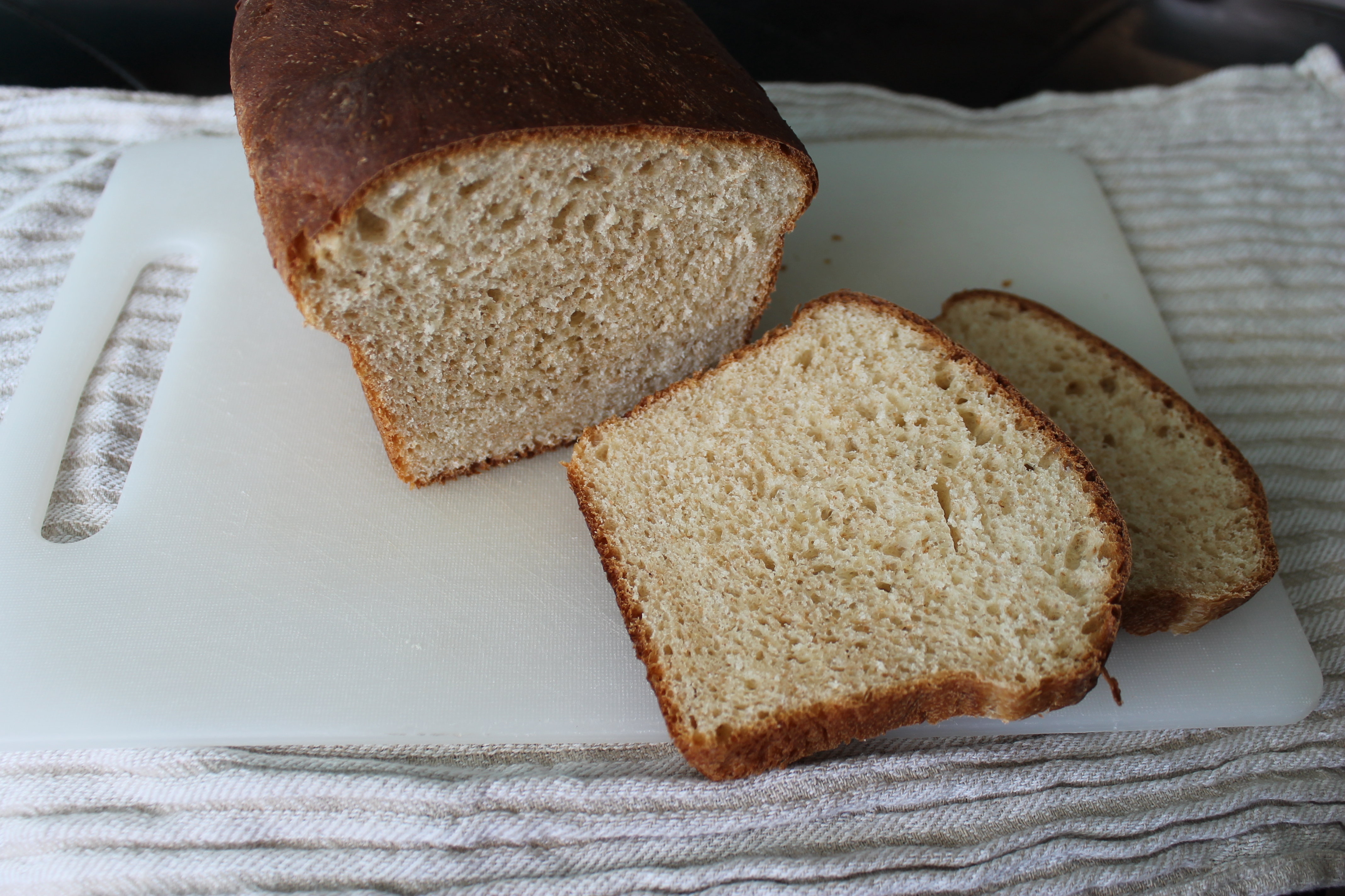 Honey Wheat Bread